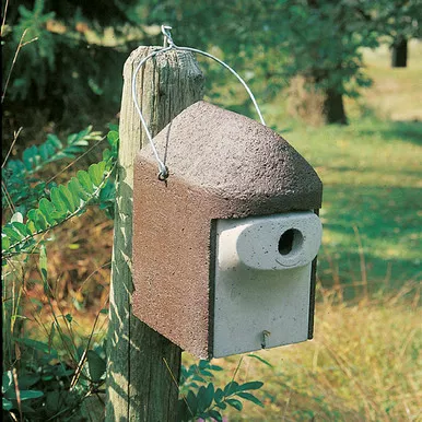 1-1-4-inch-predator-proof-birdhouse 1 1/4 Inch Predator Proof Birdhouse