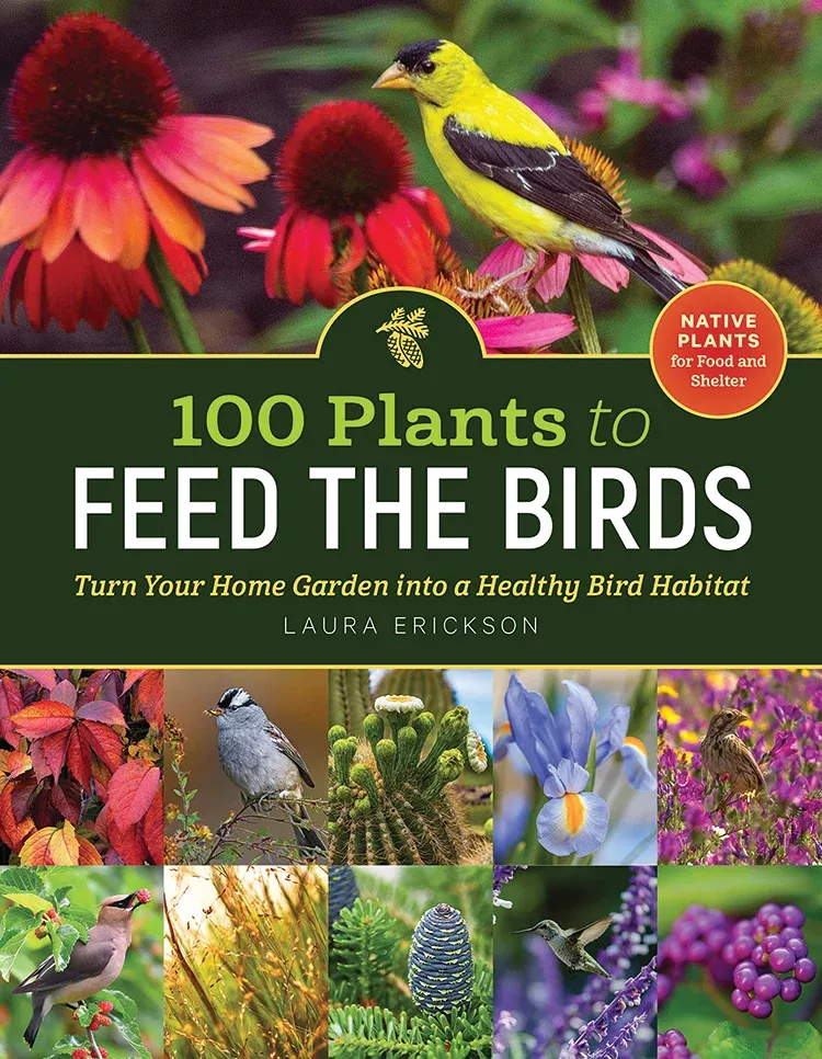 100-plants-to-feed-birds 100 Plants To Feed The Birds