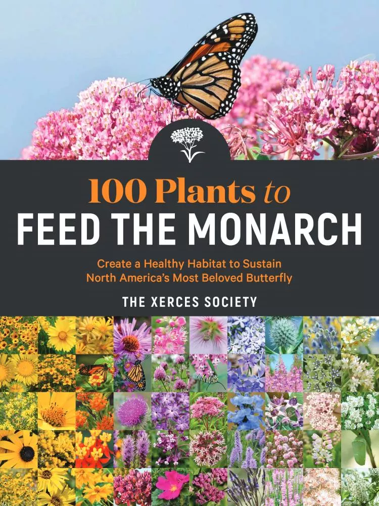 100-plants-to-feed-monarch 100 Plants To Feed The Monarch