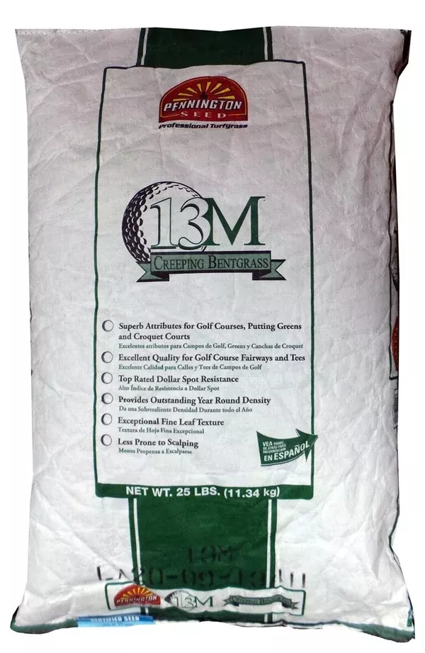 13m-creeping-bentgrass-seed 13M Creeping Bentgrass Seed
