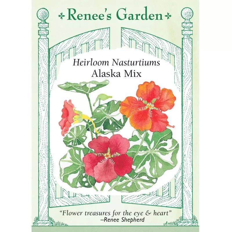 ‘Alaska Mix’ Heirloom Nasturtium Seeds