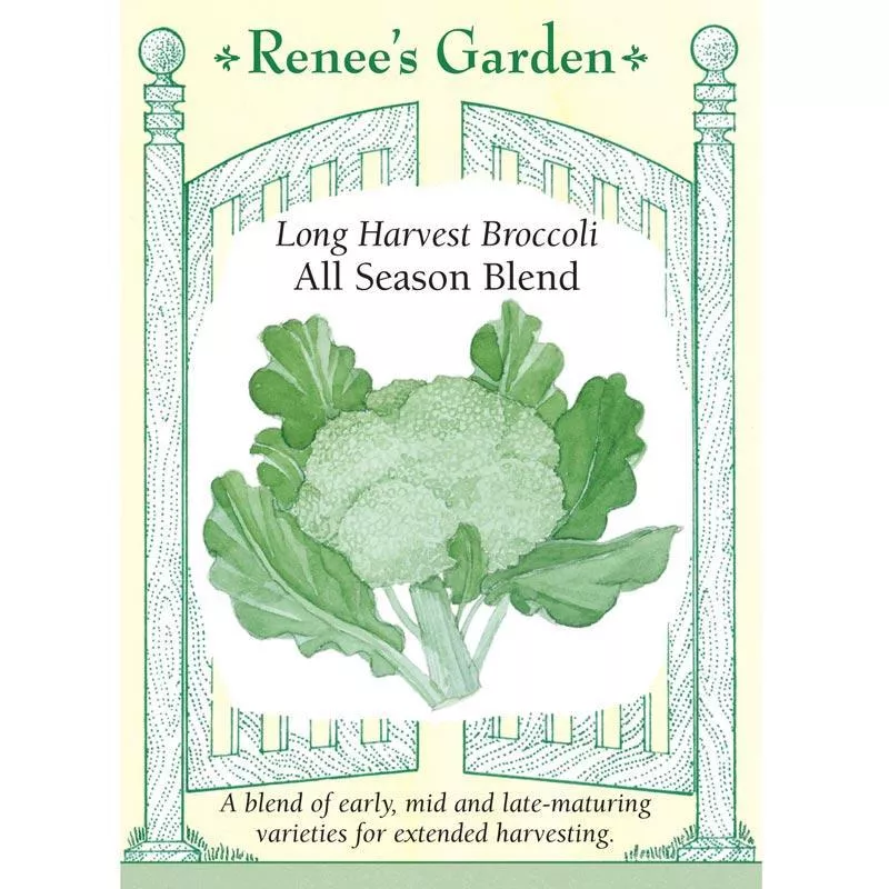 ‘All Season Blend’ Long Harvest Broccoli Seeds