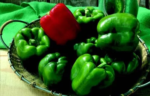 alliance-hybrid-bell-pepper-seeds Alliance Hybrid Bell Pepper Seeds