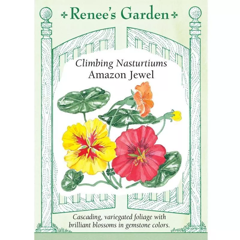 Amazon Jewel Climbing Nasturtium Flower Seeds