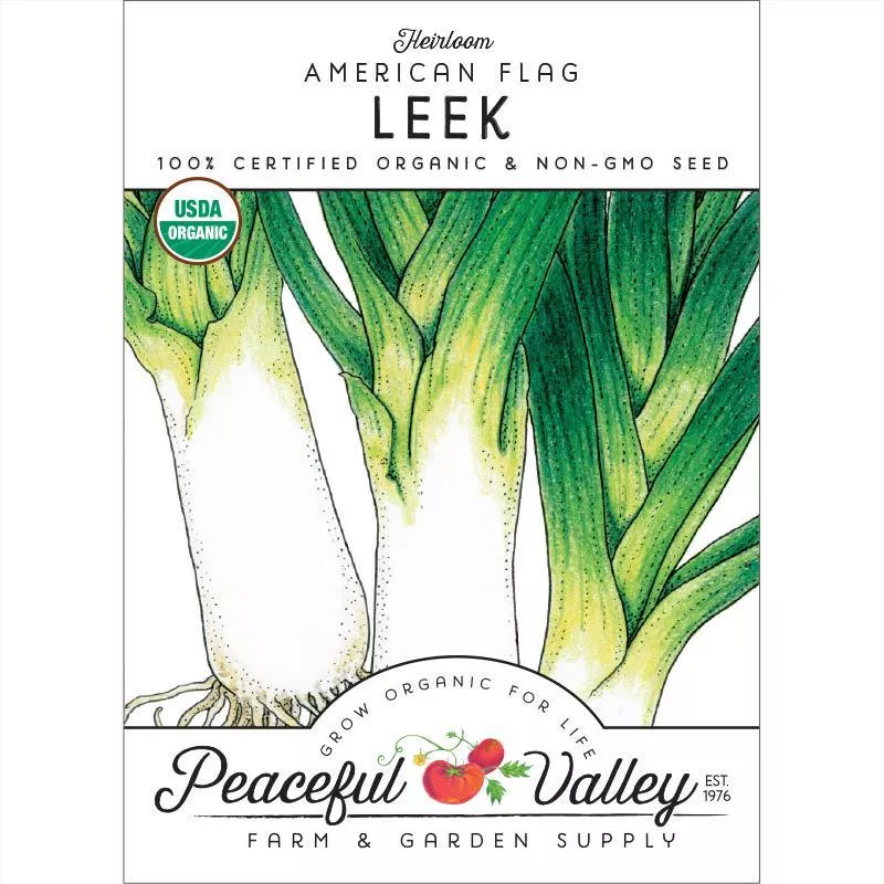 american-flag-leek-seeds-organic American Flag Leek Seeds (Organic)
