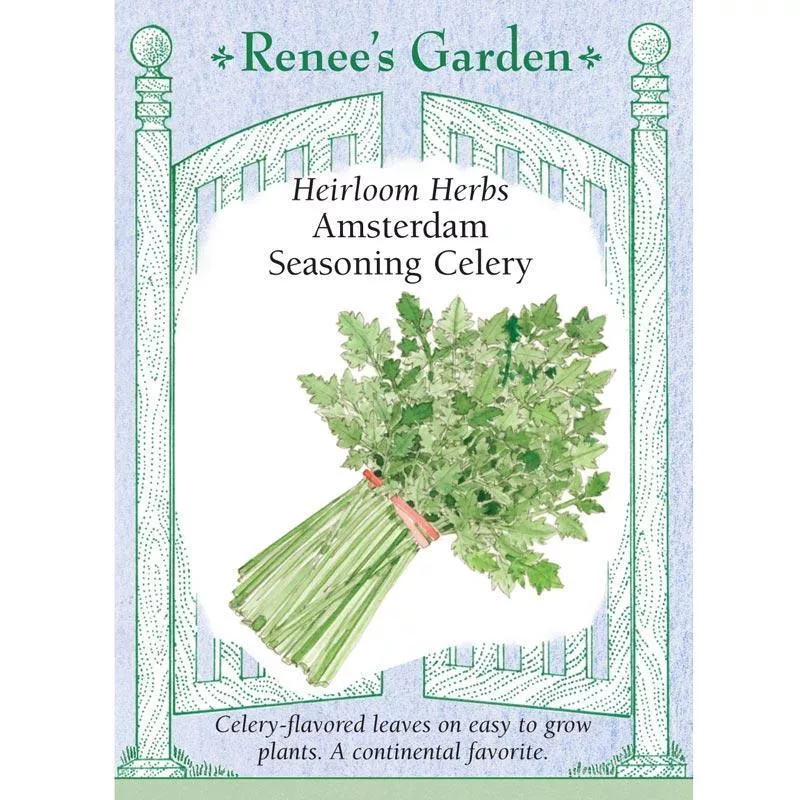 ‘Amsterdam Seasoning Celery’ Heirloom Herb Seeds