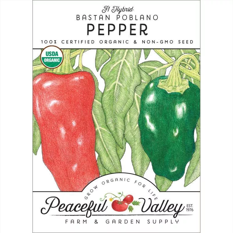 ancho-poblano-pepper-seeds-organic Ancho Poblano Pepper Seeds (Organic)