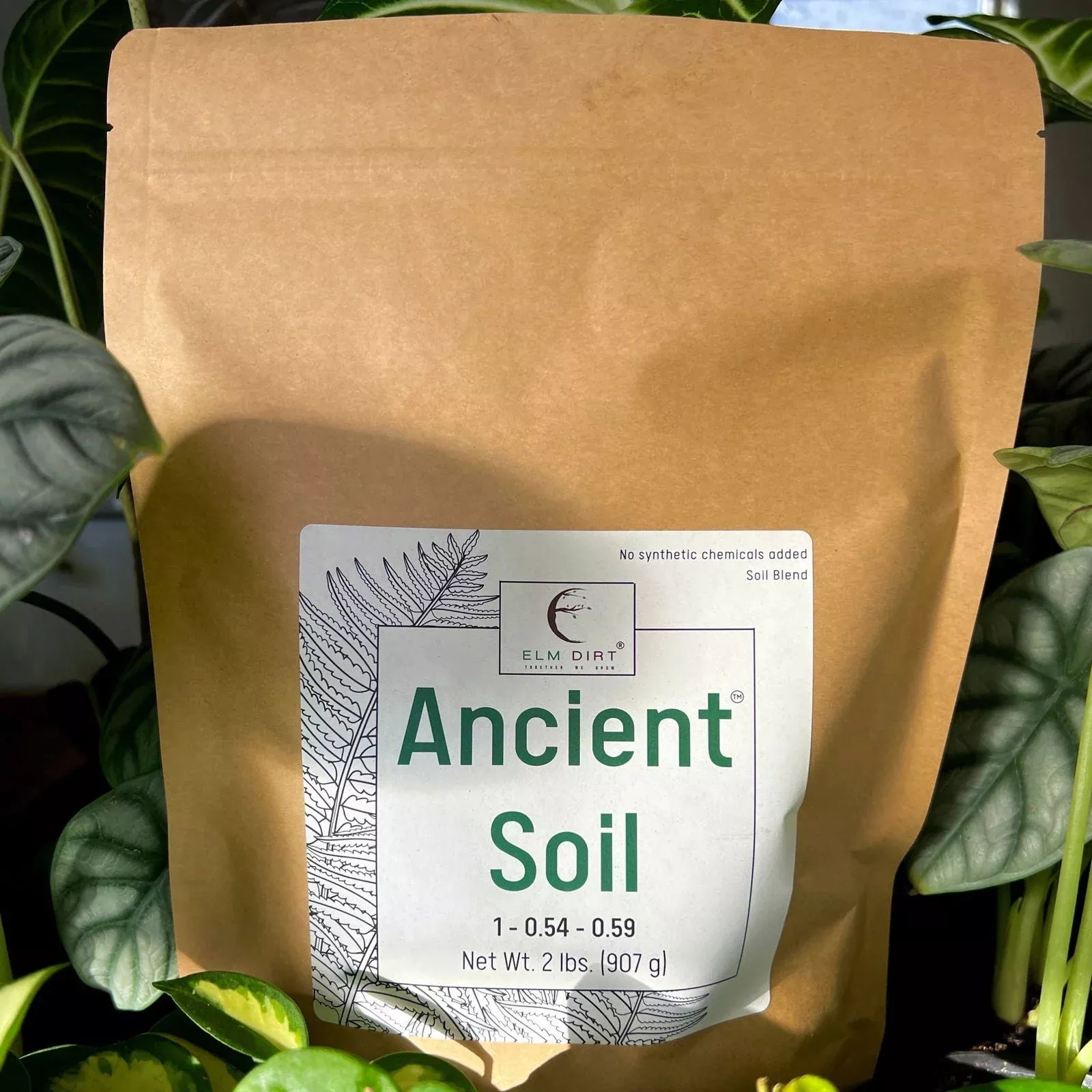 ancient-soil-by-elm-dirt Ancient Soil by Elm Dirt
