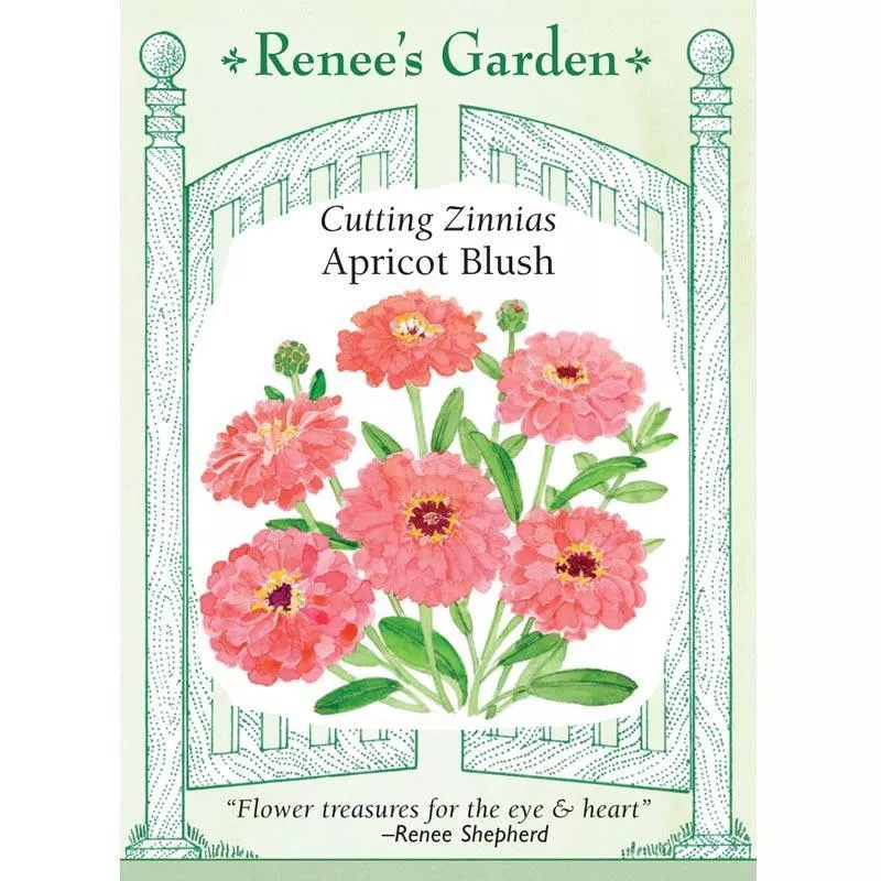 Apricot Blush Butterfly Zinnia Seeds