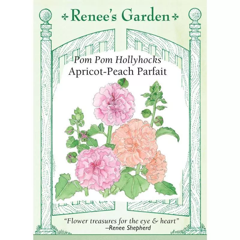 Apricot-Peach Parfait Pom Pom Hollyhock Flower Seeds