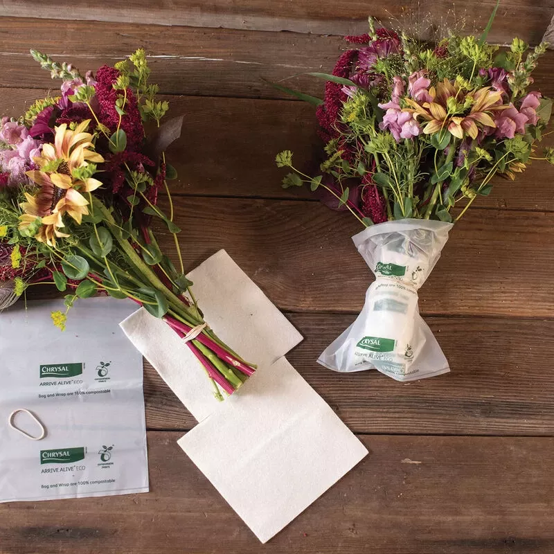 Arrive Alive Compostable Wraps – 100 Count