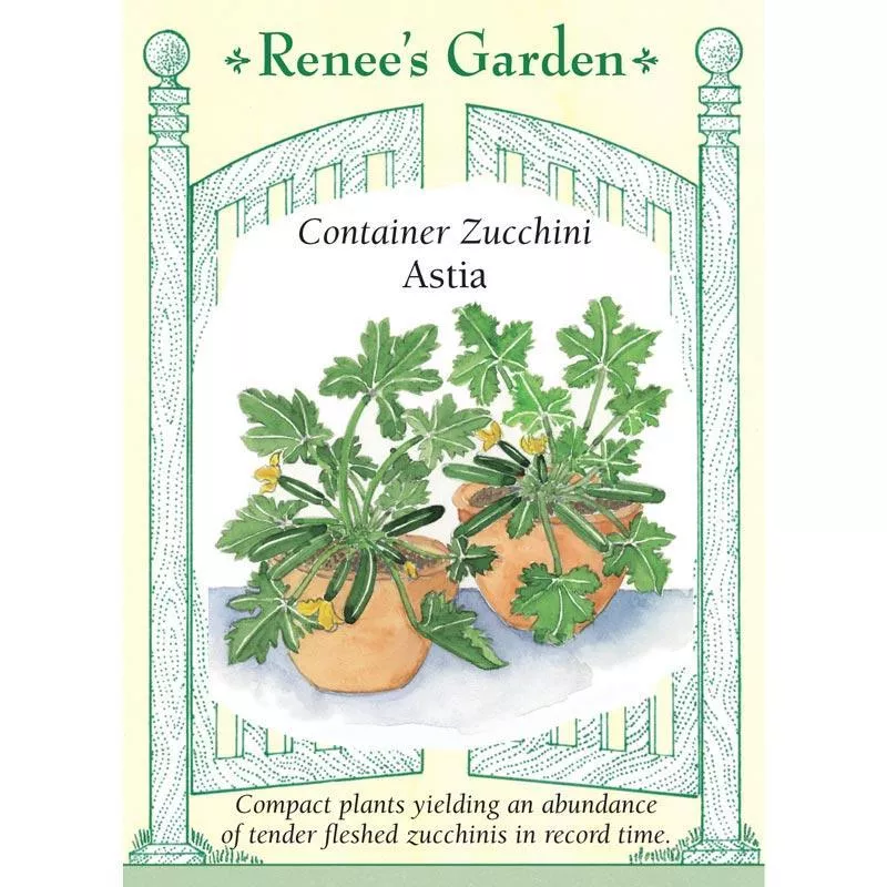‘Astia’ Container Zucchini Seeds