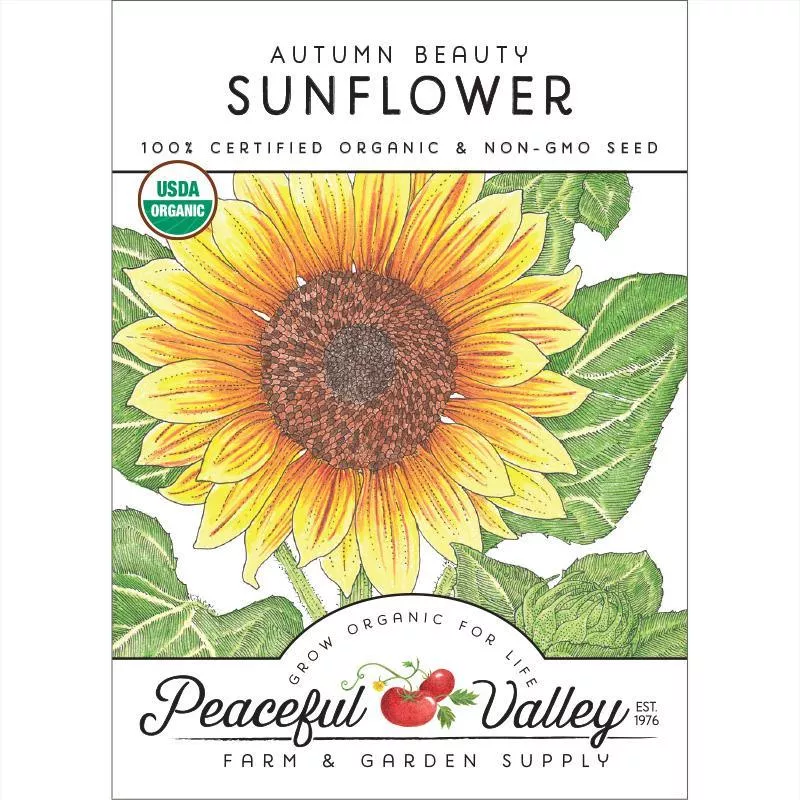 autumn-beauty-sunflower-seeds-organic Autumn Beauty Sunflower Seeds (Organic)