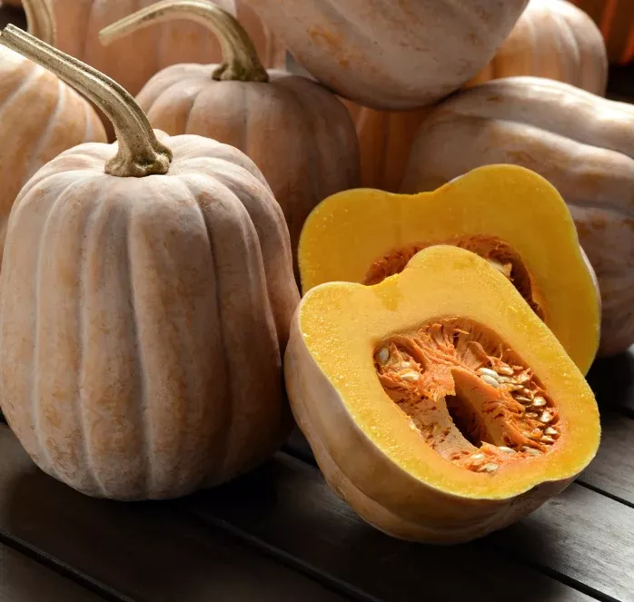 autumn-frost-hybrid-winter-squash-seeds Autumn Frost Hybrid Winter Squash Seeds