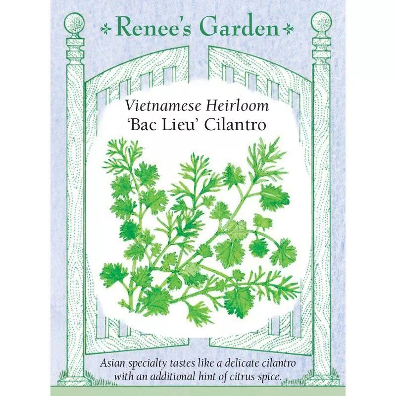 ‘Bac Lieu Cilantro’ Vietnamese Heirloom Seeds