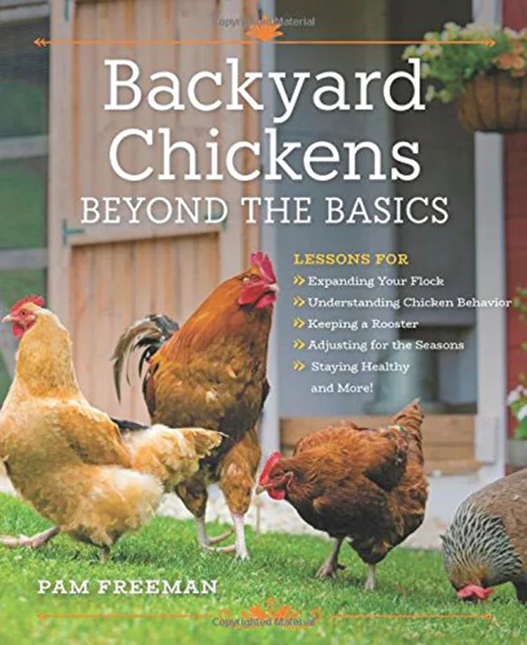 backyard-chickens-beyond-basics Backyard Chickens: Beyond The Basics