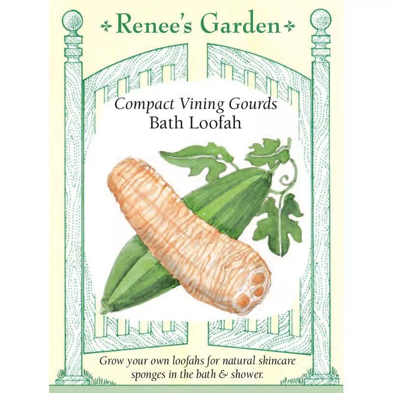 bath-loofah-compact-vining-gourd-seeds Bath Loofah Compact Vining Gourd Seeds
