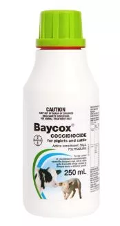 BAYCOX COCCIDIOCIDE FOR PIGLETS AND CATTLE 250ML