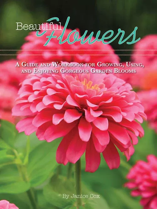 beautiful-flowers Beautiful Flowers
