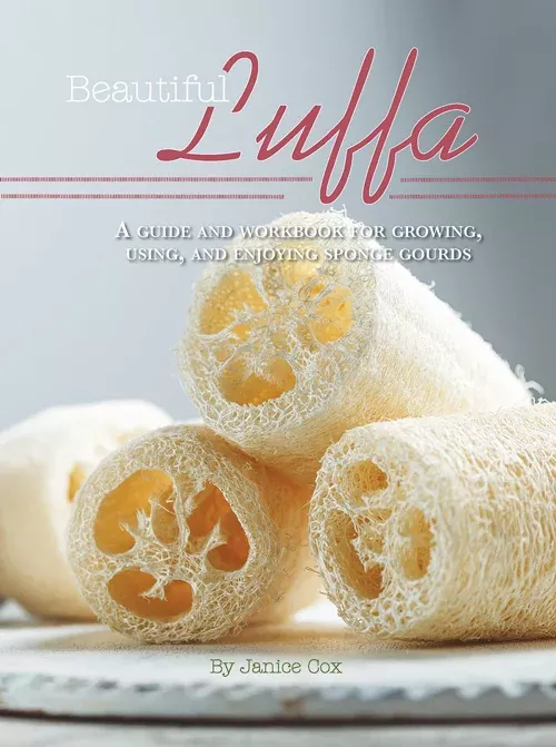 beautiful-luffa Beautiful Luffa