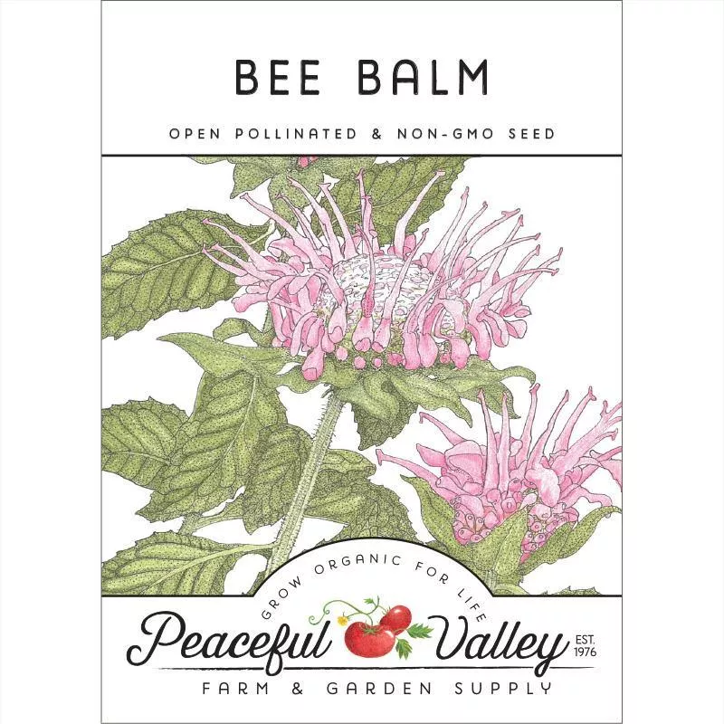 bee-balm Bee Balm