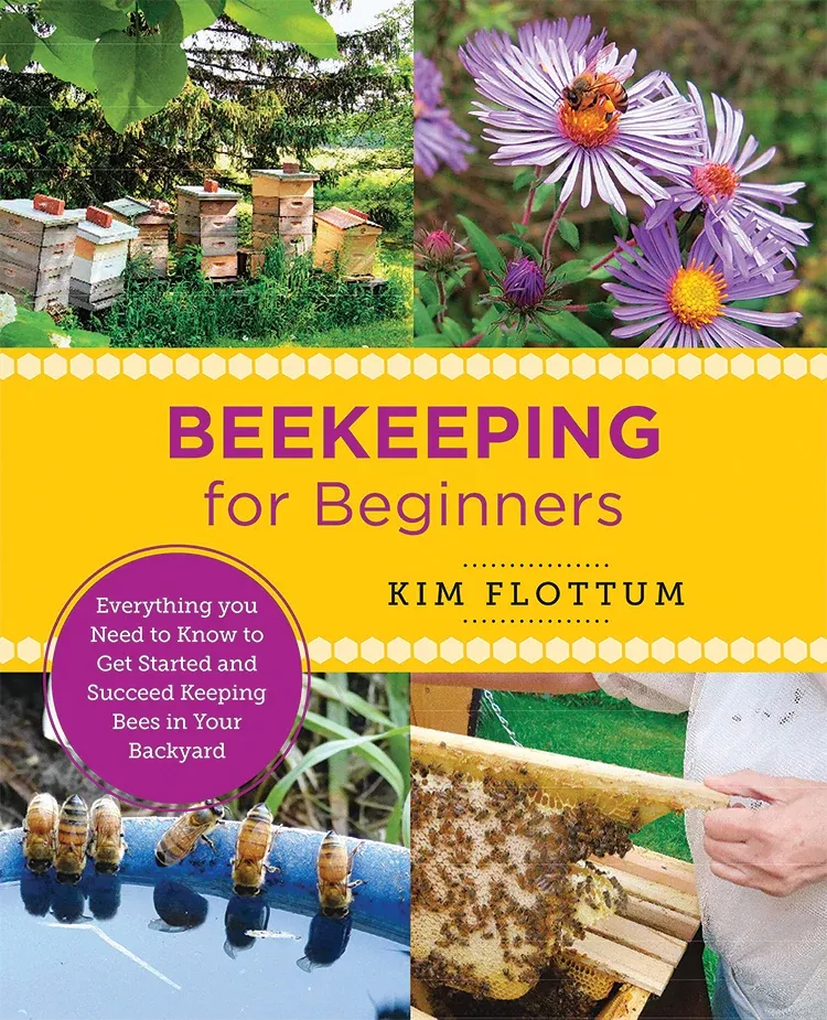beekeeping-beginners Beekeeping For Beginners