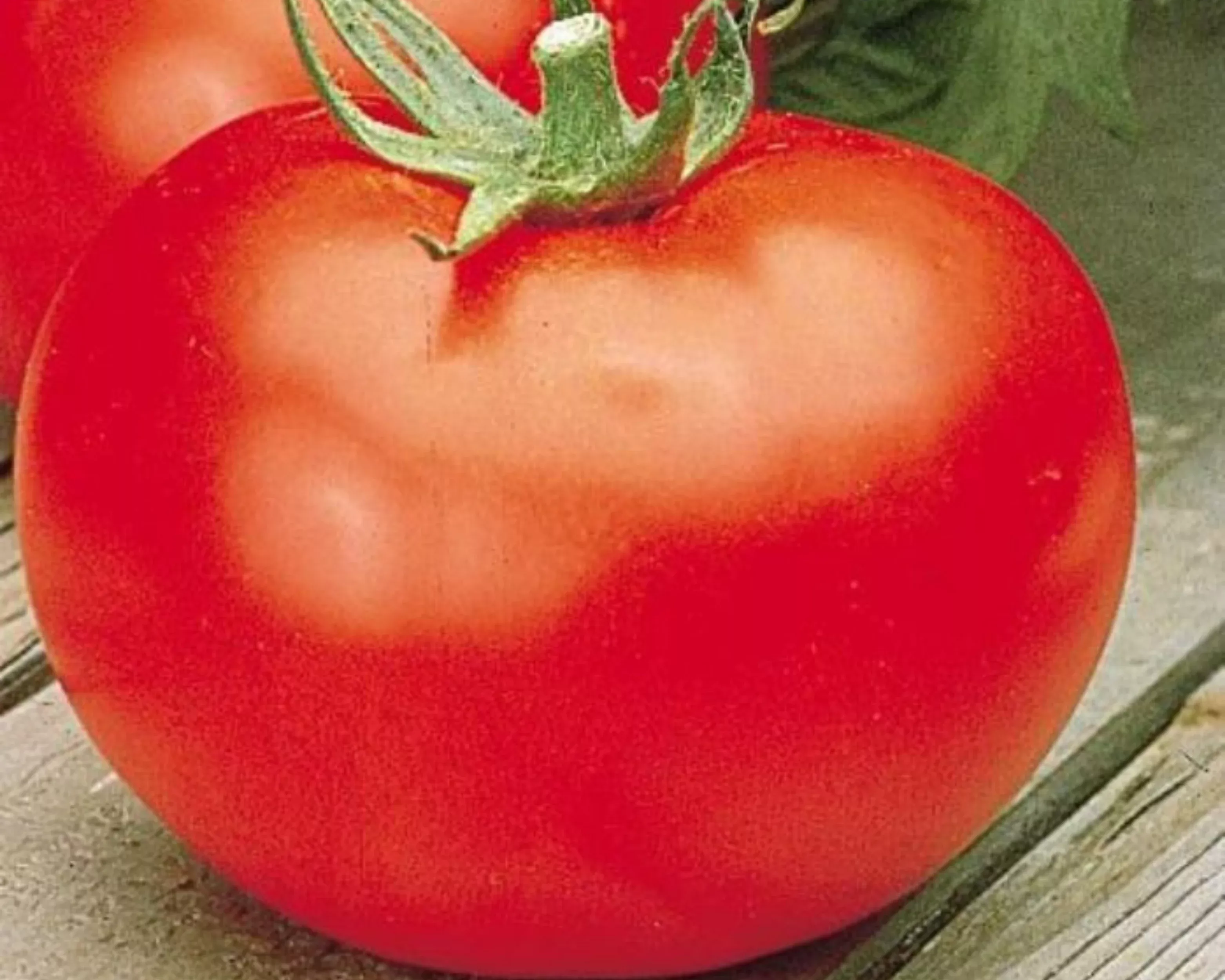 better-boy-hybrid-tomato-seeds Better Boy Hybrid Tomato Seeds