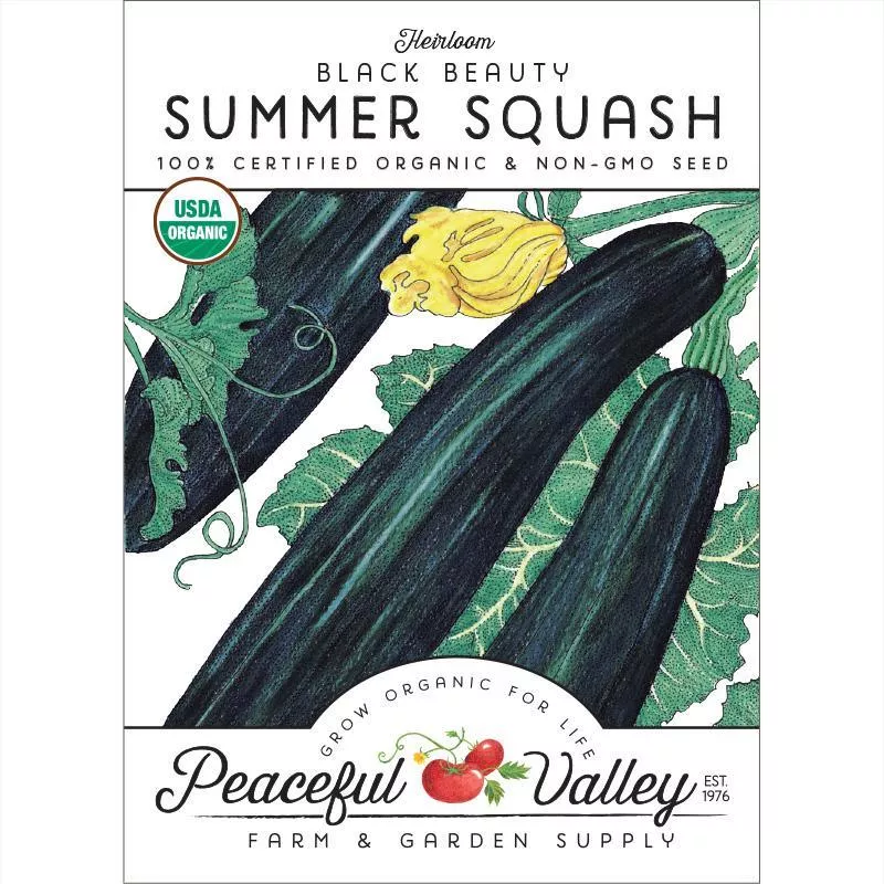 black-beauty-summer-squash-seeds-organic Black Beauty Summer Squash Seeds (Organic)