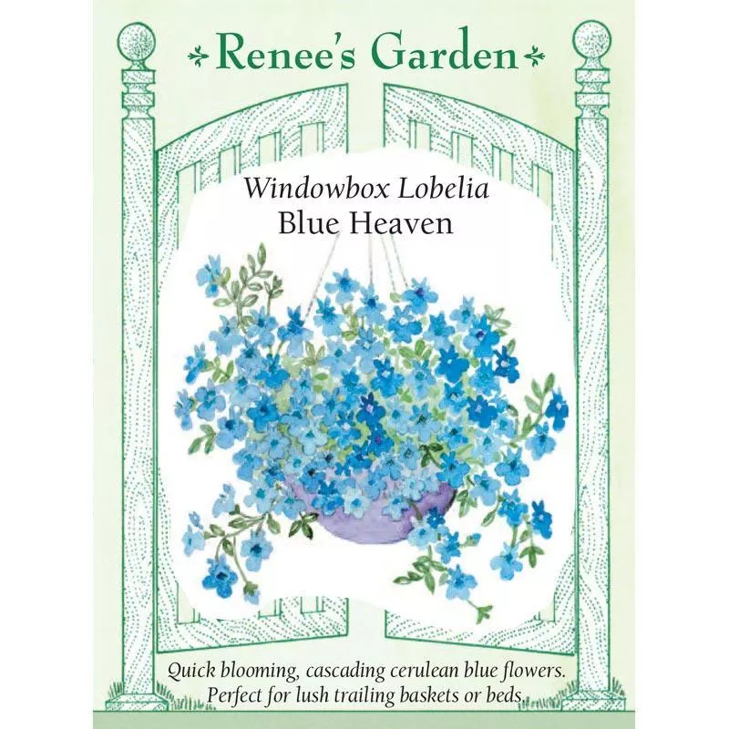 blue-heaven-windowbox-lobelia-flower-seeds Blue Heaven Windowbox Lobelia Flower Seeds