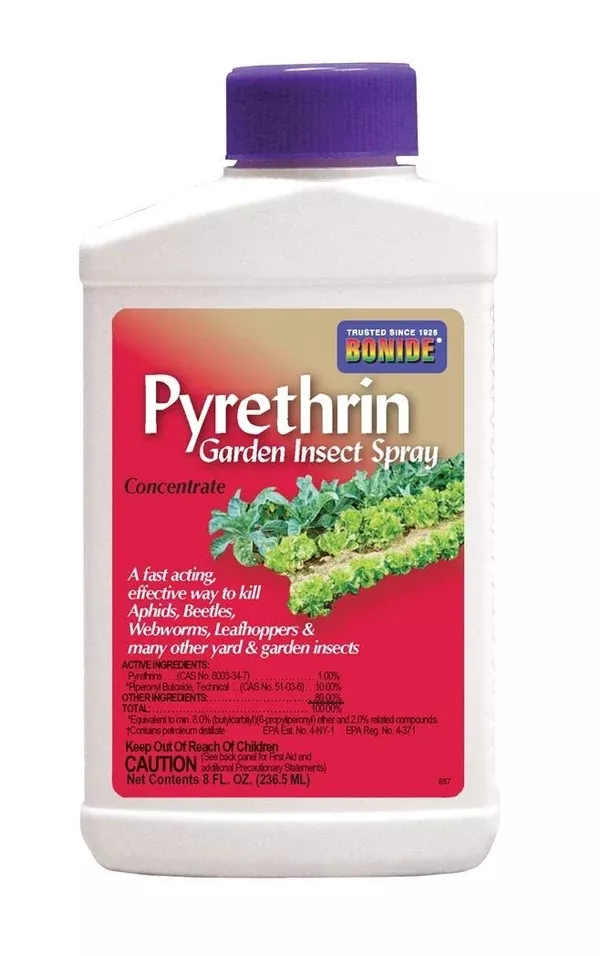 bonide-pyrethrin-garden-insect-concentrate-8-oz Bonide Pyrethrin Garden Insect Concentrate - 8 Oz.