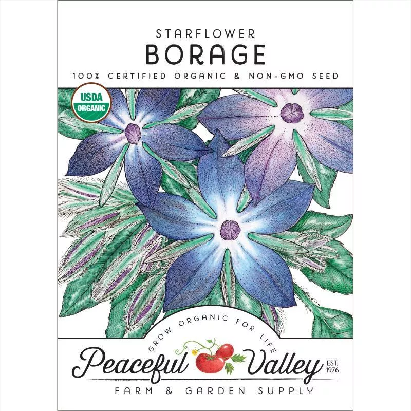 borage-seeds-organic Borage Seeds (Organic)