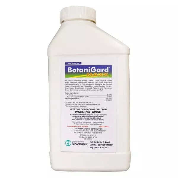 botanigard-maxx-quart-32-oz BotaniGard MAXX quart (32 oz)