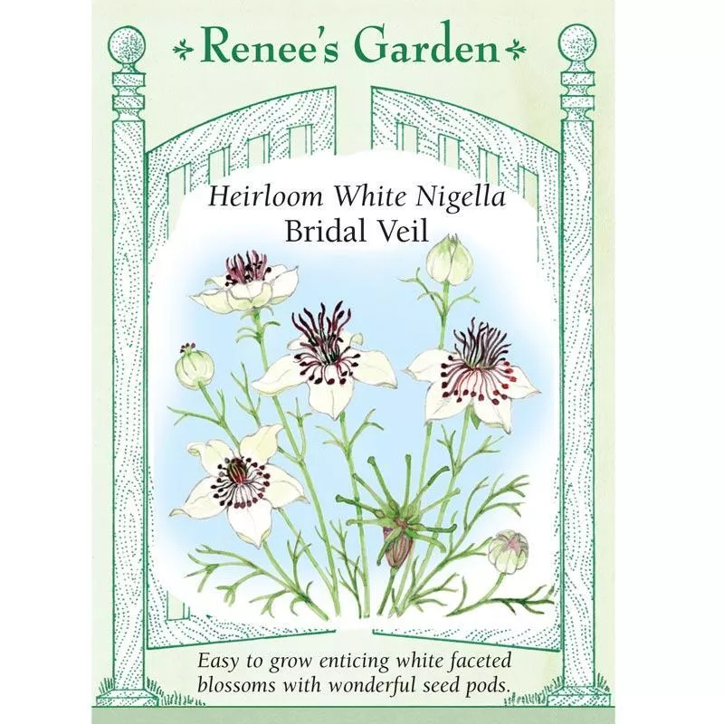 bridal-veil-heirloom-white-nigella-seeds ‘Bridal Veil’ Heirloom White Nigella Seeds