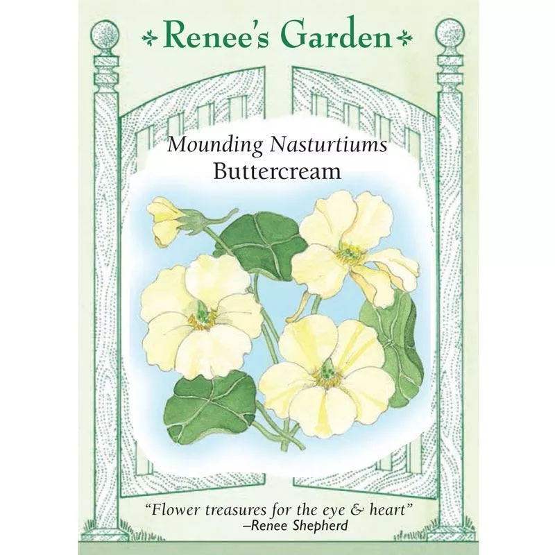 buttercream-mounding-nasturtium-flower-seeds Buttercream Mounding Nasturtium Flower Seeds