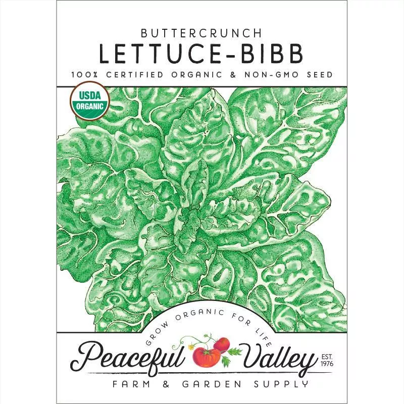 buttercrunch-lettuce-seeds-organic Buttercrunch Lettuce Seeds (Organic)