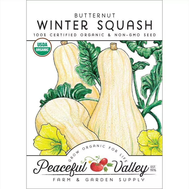 butternut-winter-squash-seeds-organic Butternut Winter Squash Seeds (Organic)