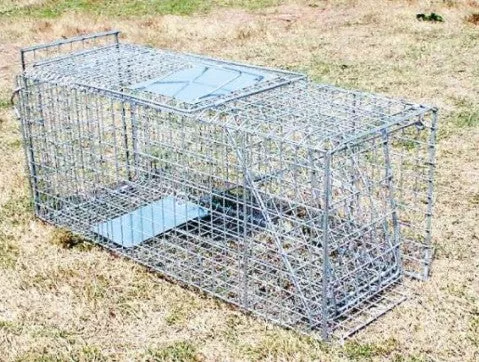 cage-trap-collapsible-66cm CAGE TRAP - COLLAPSIBLE 66CM