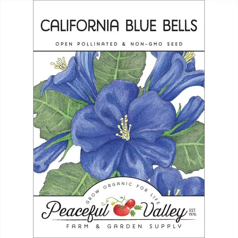 california-blue-bells-pack California Blue Bells (pack)