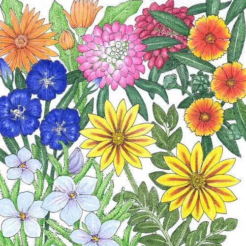 california-low-growing-wildflower-mix-1-4-lb California Low-Growing Wildflower Mix (1/4 lb)