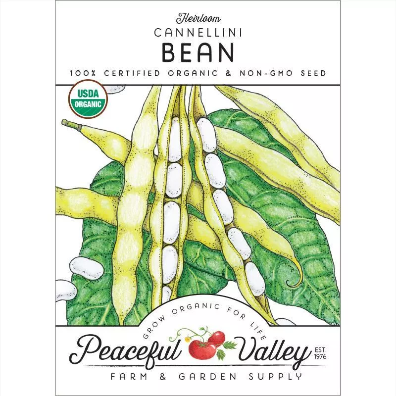 cannellini-bush-bean-seeds-organic Cannellini Bush Bean Seeds (Organic)