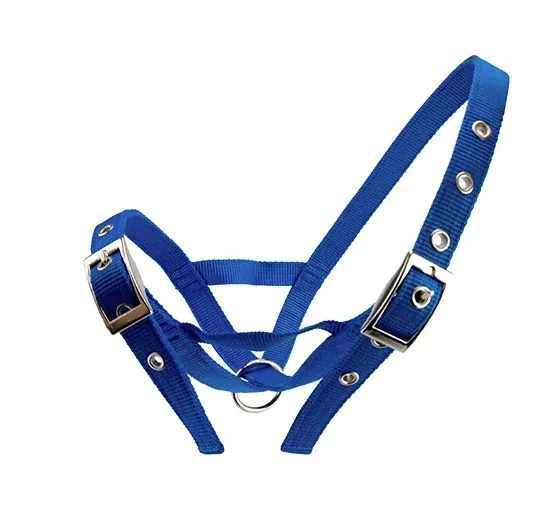 CATTLE HALTER BULL -