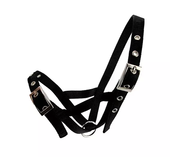 CATTLE HALTER WEBBING COW - BLACK