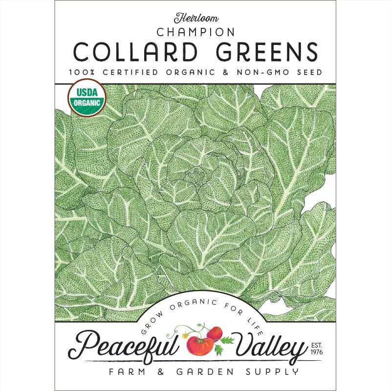 champion-collard-green-seeds-organic Champion Collard Green Seeds (Organic)