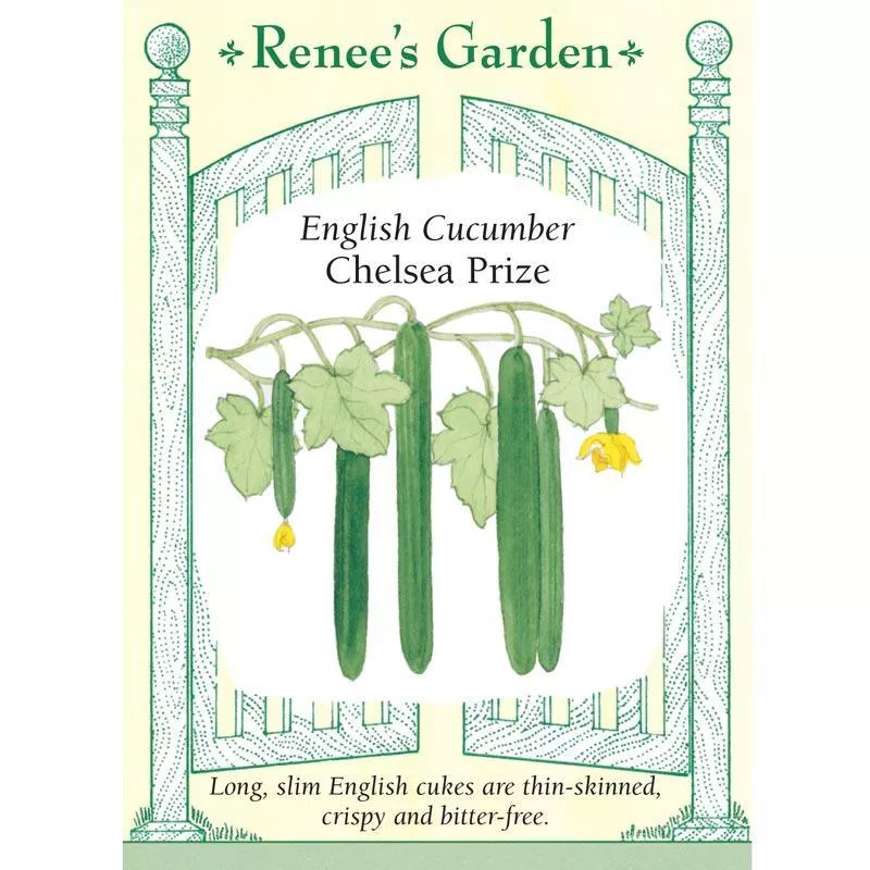 chelsea-prize-english-cucumber-seeds Chelsea Prize English Cucumber Seeds