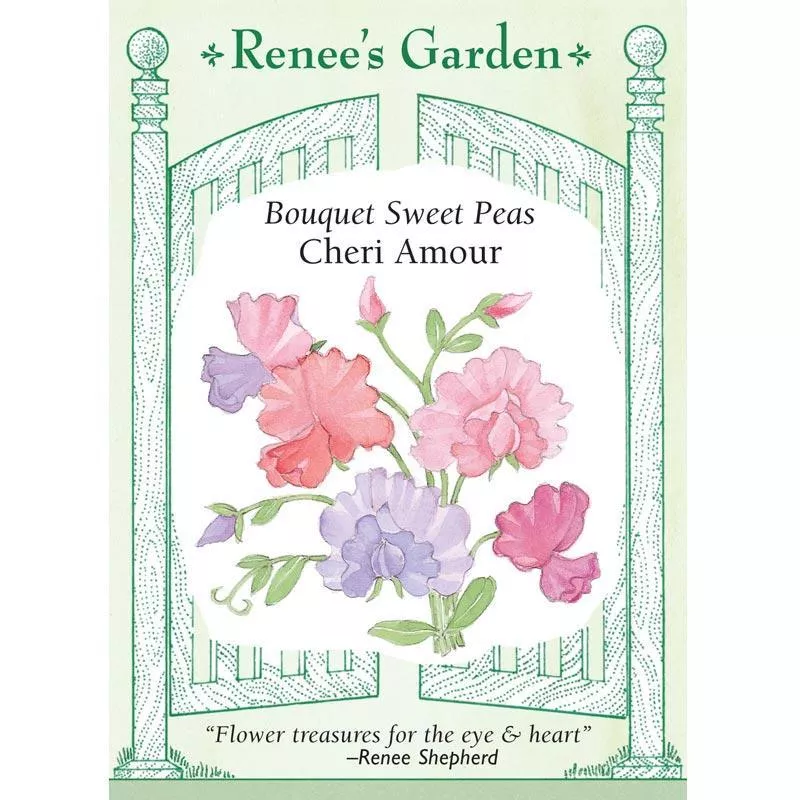 cheri-amour-scented-sweet-pea-seeds ‘Cheri Amour’ Scented Sweet Pea Seeds