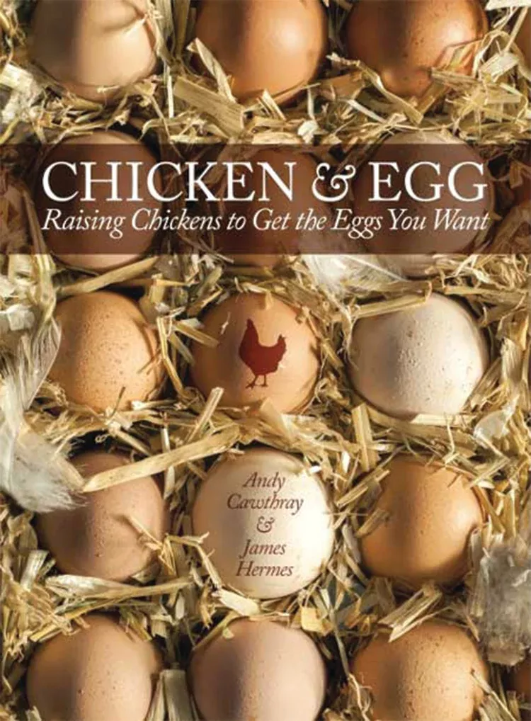 chicken-egg Chicken & Egg