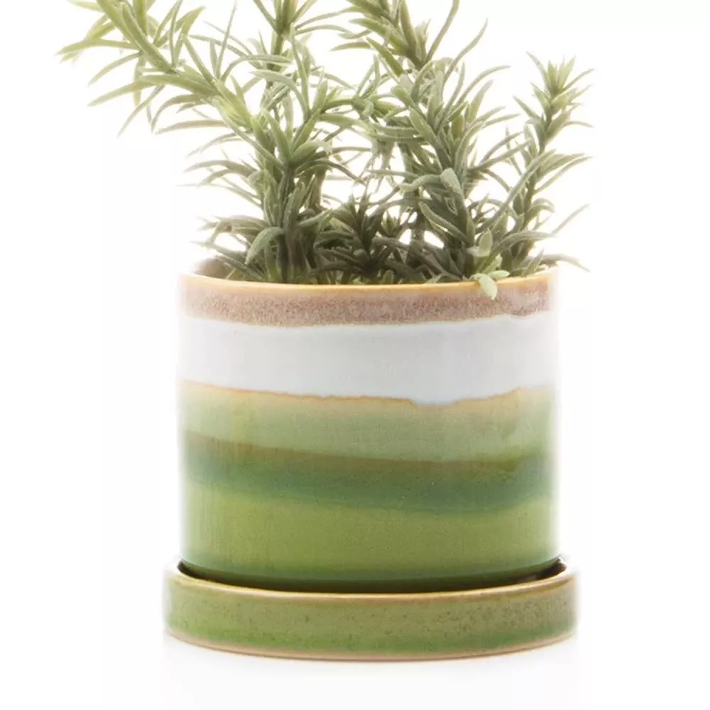chive-3-inch-minute-planter-pot-saucer-green Chive – 3 Inch Minute Planter Pot & Saucer – Green