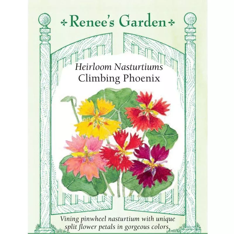 climbing-phoenix-heirloom-nasturtium-seeds ‘Climbing Phoenix’ Heirloom Nasturtium Seeds