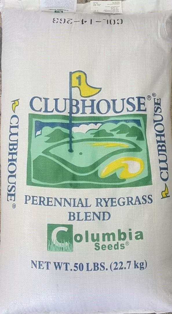 Clubhouse GQ Perennial Ryegrass Seed (Discontinued)