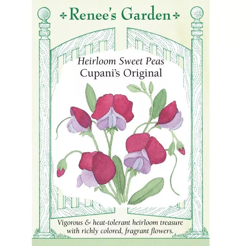 cupani-s-original-heirloom-sweet-pea-seeds ‘Cupani’s Original’ Heirloom Sweet Pea Seeds